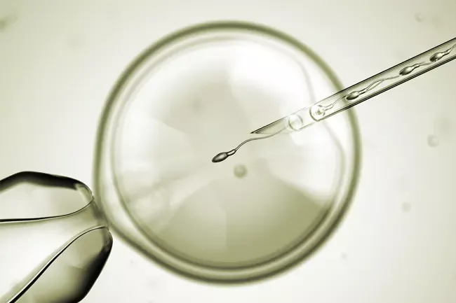 ivf icsi kuenstliche befruchtung 0de494c2