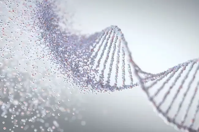 praeimplantationsdiagnostik pid pkd 1583dc84