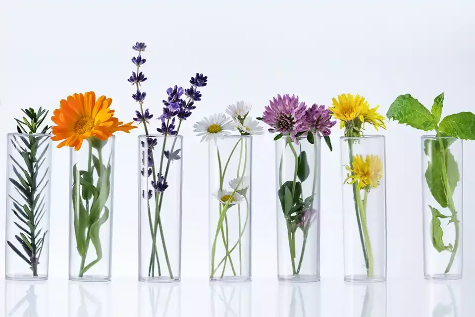 individuelle laborleistungen 5ecbb6b0