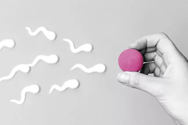 insemination 9da34695