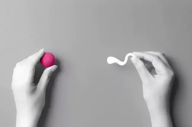 unterstuetzung der natuerlichen konzeption afff751b