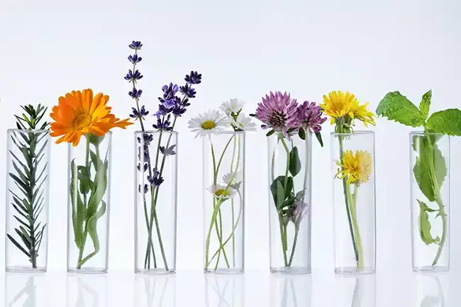 individuelle laborleistung 650x433 1 cdfafbbe